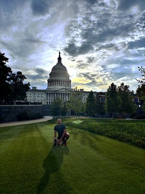 Daisy 200: a dog on a lawn in front of a domed building