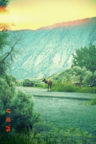 A mountain at dusk turned teal and yellow