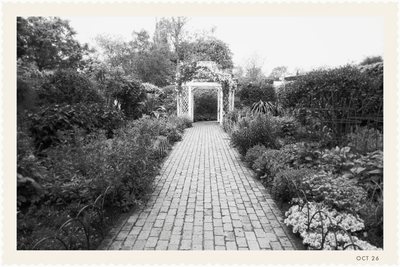 Bellows No. 1: a brick garden path, black-and-white postcard with a deckled edge